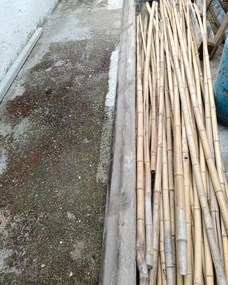 canne di bambu