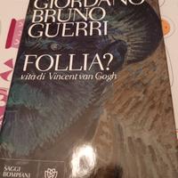 Follia vita di Vincent Van Gogh 
