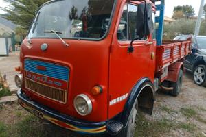 Fiat Lupetto 25