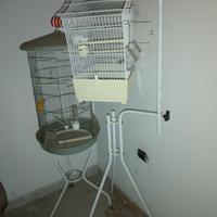 Gabbie voliere per uccellini