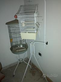 Gabbie voliere per uccellini
