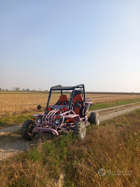 Buggy gs moon 260