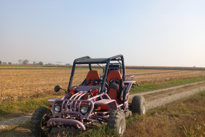 Buggy gs moon 260