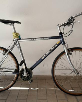 Bicicletta MTB Olympia Leopard oversize da 26"