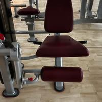 Leg Extensions