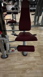 Leg Extensions