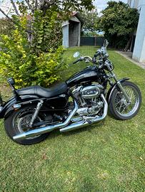 Sportster
