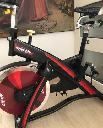 Bici spinning professionale panatta