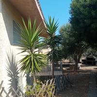 Villa sole