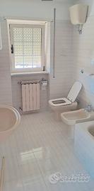 CASTEL GANDOLFO PAVONA BILOCALE ARREDATO Con TERRA