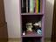 Immagine 1