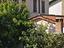 Immagine 11