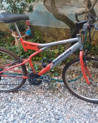 Mountain bike 