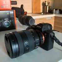 Sony alpha 7 III, sony 24-105mm, sigma 100-400mm