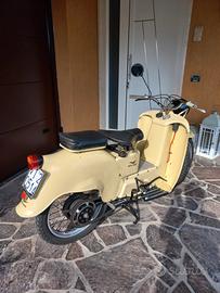 galletto guzzi 