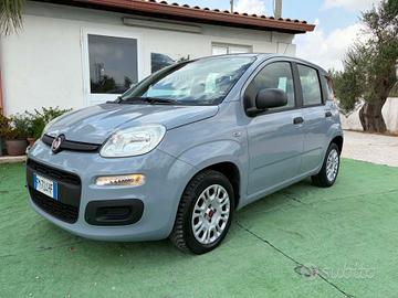Fiat Panda 1.2 Easy - 2017