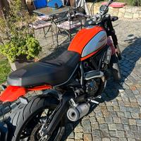 Ducati scrambler 800 icon 09/2019