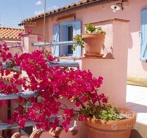 Graziosa antica casetta centro storico Muravera