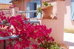 Graziosa antica casetta centro storico Muravera