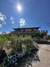 Casa indipendente con terreno e uliveto - 200 mq