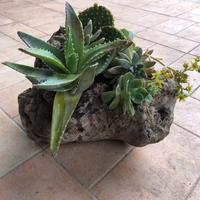 Composizione floreale