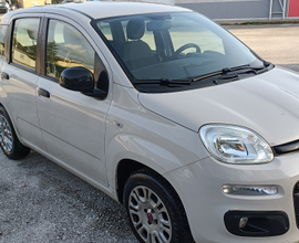 Vendita panda Easy 1200 benzina 69 cavalli