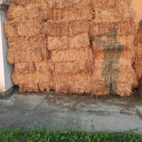 Ballette fieno e erba medica 2025