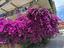 Immagine 22