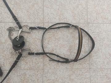 Testiera morso e redini