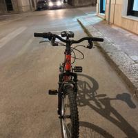 Bicicletta