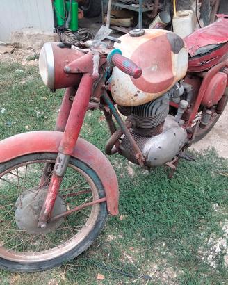 Moto MV 175 America