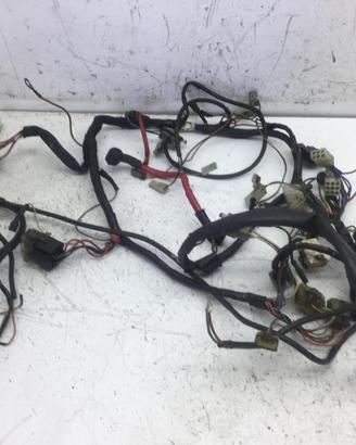 SACHS ROADSTER V2 125 CAVI CABLAGGIO MATASSA IMPIA