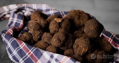 Tartufo nero uncinato fresco