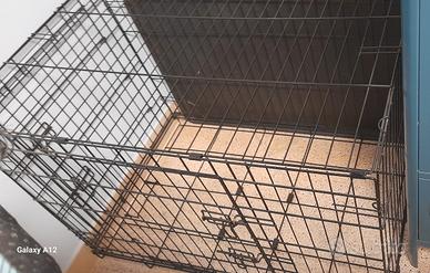 Trasportino per cani  