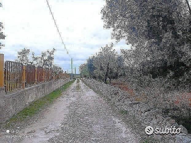 Terreno in via delle Margherite - Vista 3