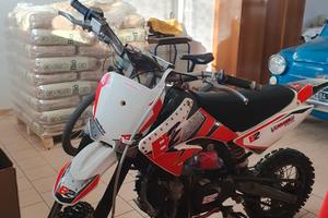 Pit bike Scarabelli 160