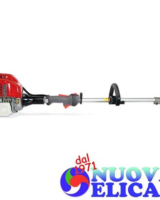 Combinato BlueBird motorizzato Honda con Accessori