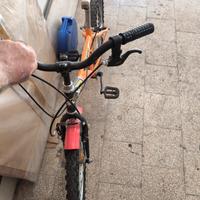 bici mtb