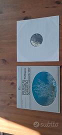 Vinile LP Beethoven Ciaikovski Fontana Stereo