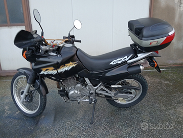 Honda Dominator 650 avviamento elettrico