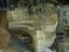 Immagine 2