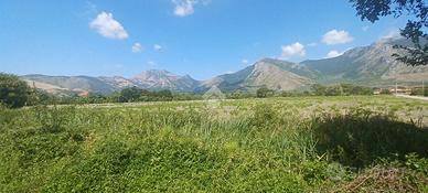 TER. AGRICOLO A VENAFRO