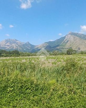 TER. AGRICOLO A VENAFRO