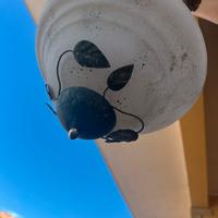Lampadario e faretti
