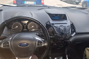 Ford ecosporr
