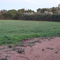 Terreno agricolo