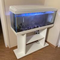 Acquario con mobile bianco