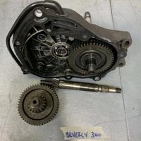Ingranaggi ruota posteriore Beverly 300