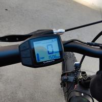 Bici Elettrica Argento