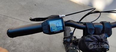 Bici Elettrica Argento